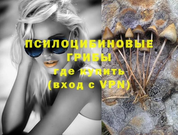 ALPHA-PVP Медвежьегорск