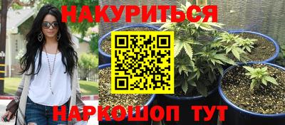 прущая мука Будённовск