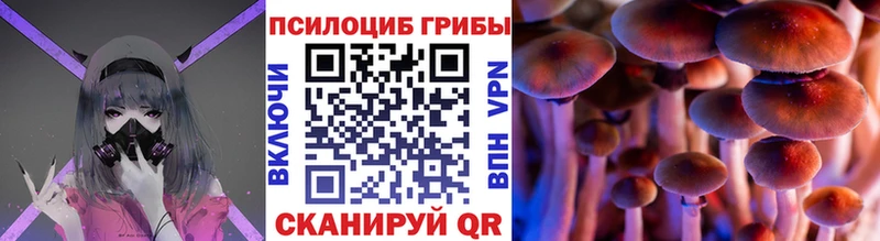 закладки  Волгодонск  Галлюциногенные грибы Cubensis 