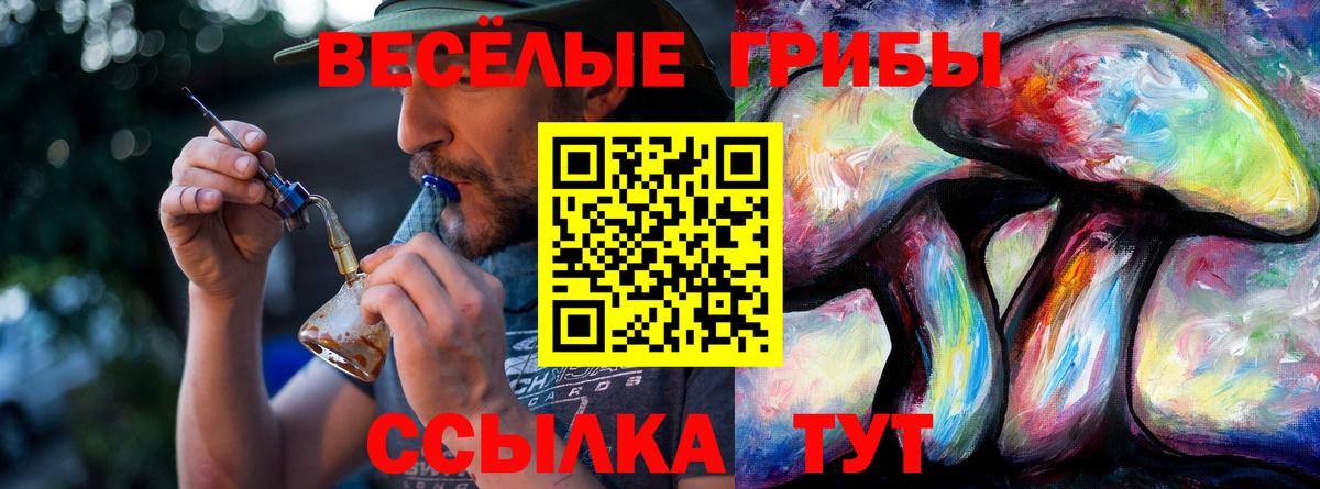 Волгодонск  Галлюциногенные грибы мицелий  Вход с VPN  Псилоцибиновые грибы Psilocybine cubensis 