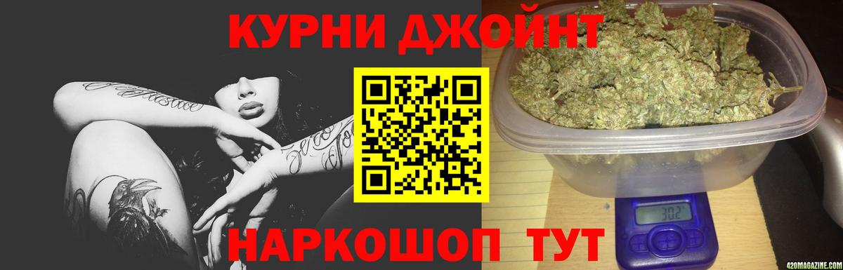 Бошки Шишки планчик Волгодонск